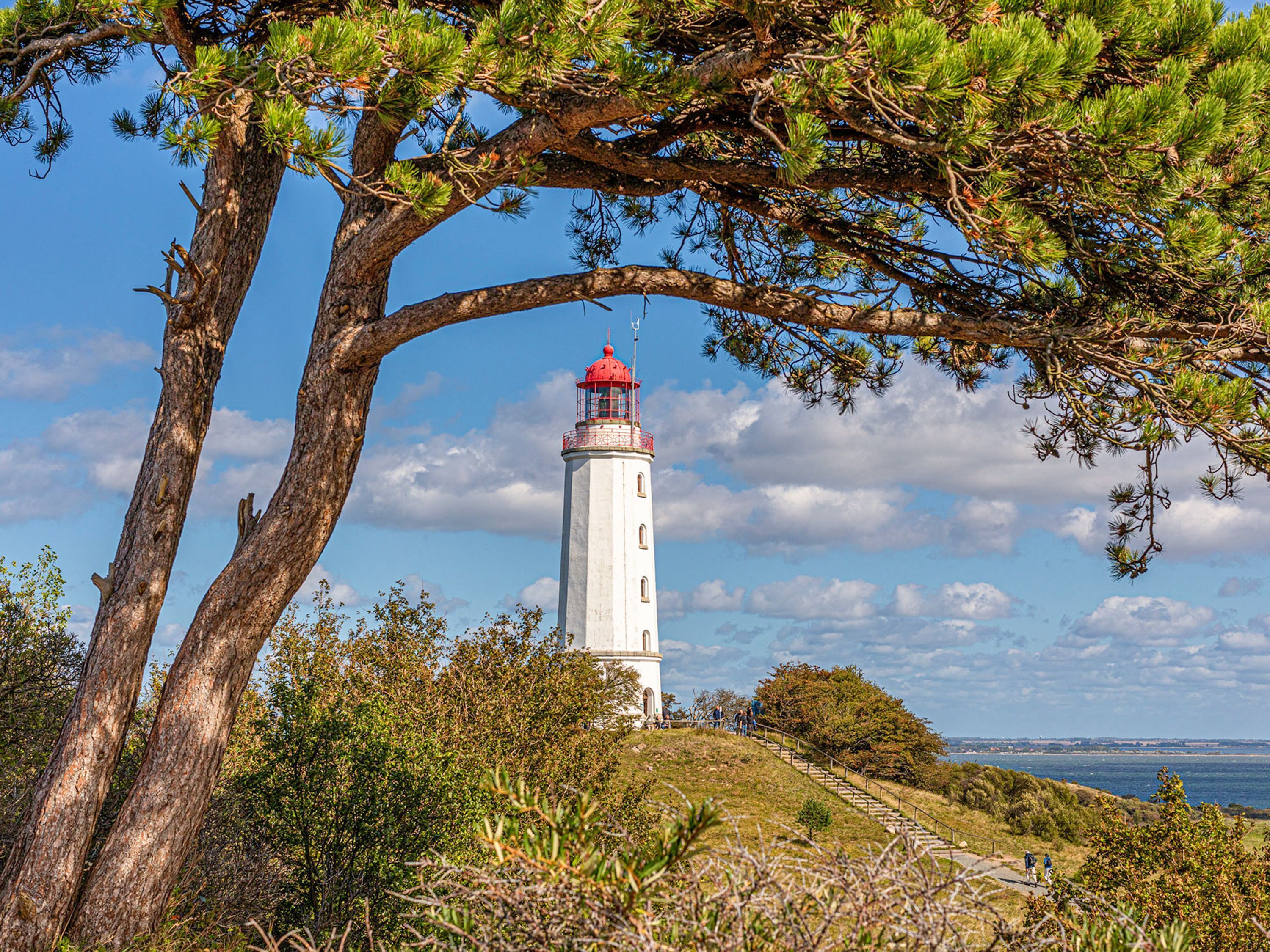 A lighthouse surrounded by trees and a clear sky.