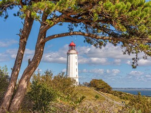 Botón de imagen sin clasificar, 4 de 22