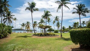 Un jardin tropical agrémenté de palmiers, une pelouse bien entretenue et une vue sur la mer.