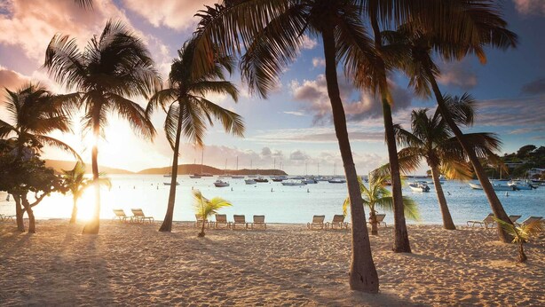 Une plage bordée de palmiers, avec des transats et des bateaux sur l’eau.