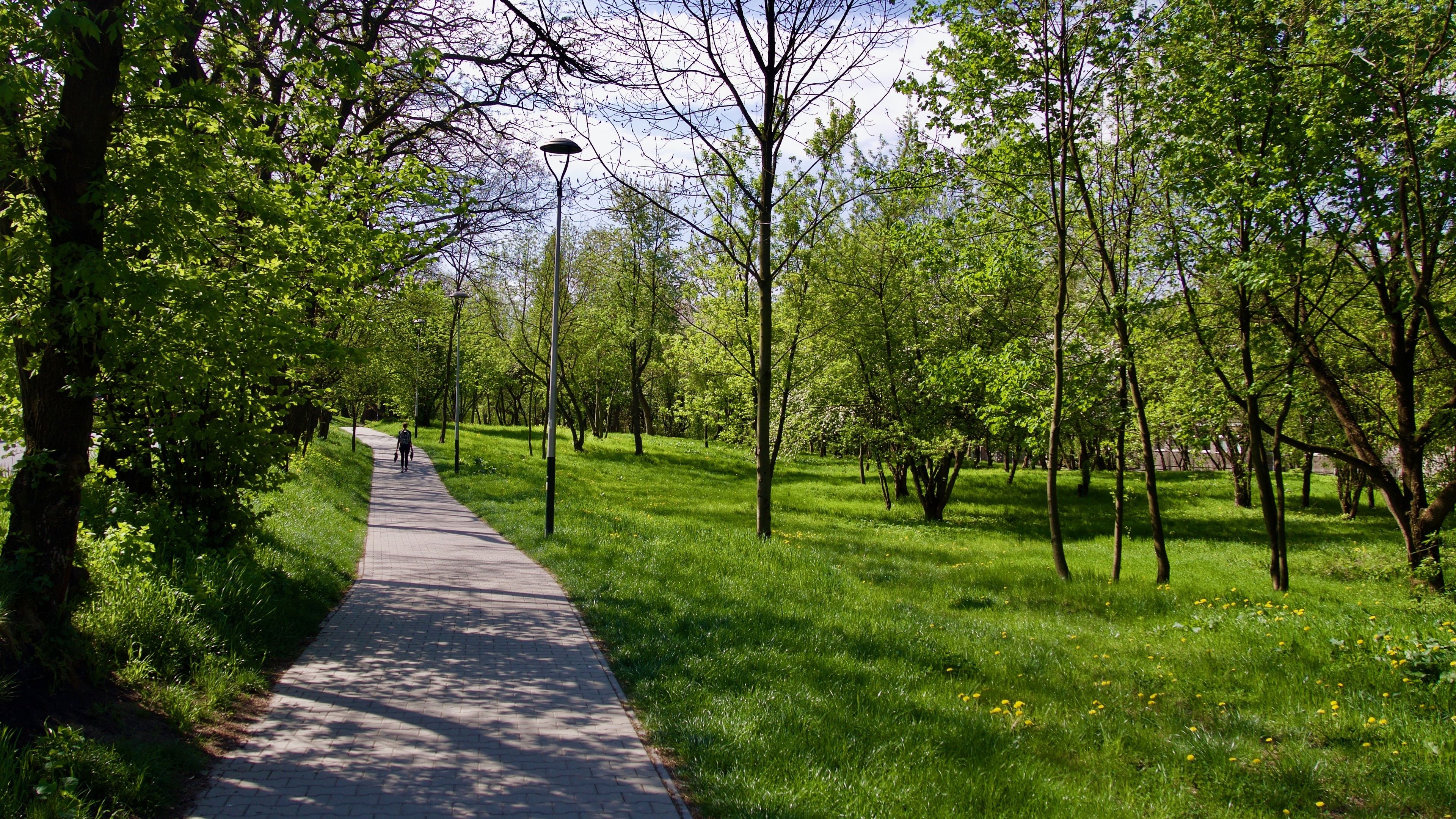 Un sendero pavimentado atraviesa un parque con árboles y césped a ambos lados.