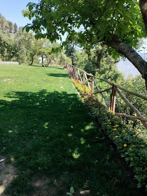 Property grounds - The Mountain Quail (Dehradun)