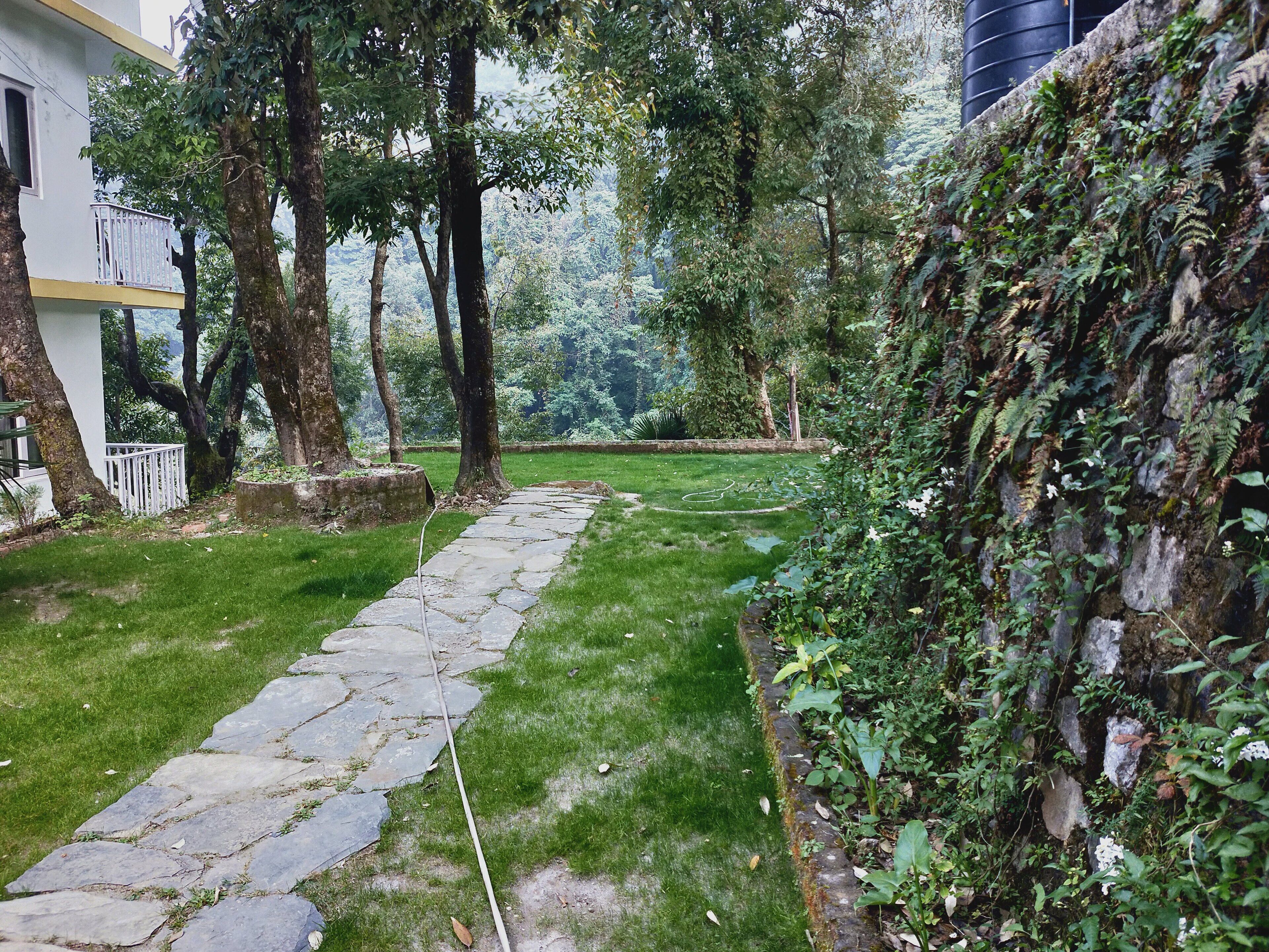 A stone pathway leading through a lush garden with trees and a white building on the left.