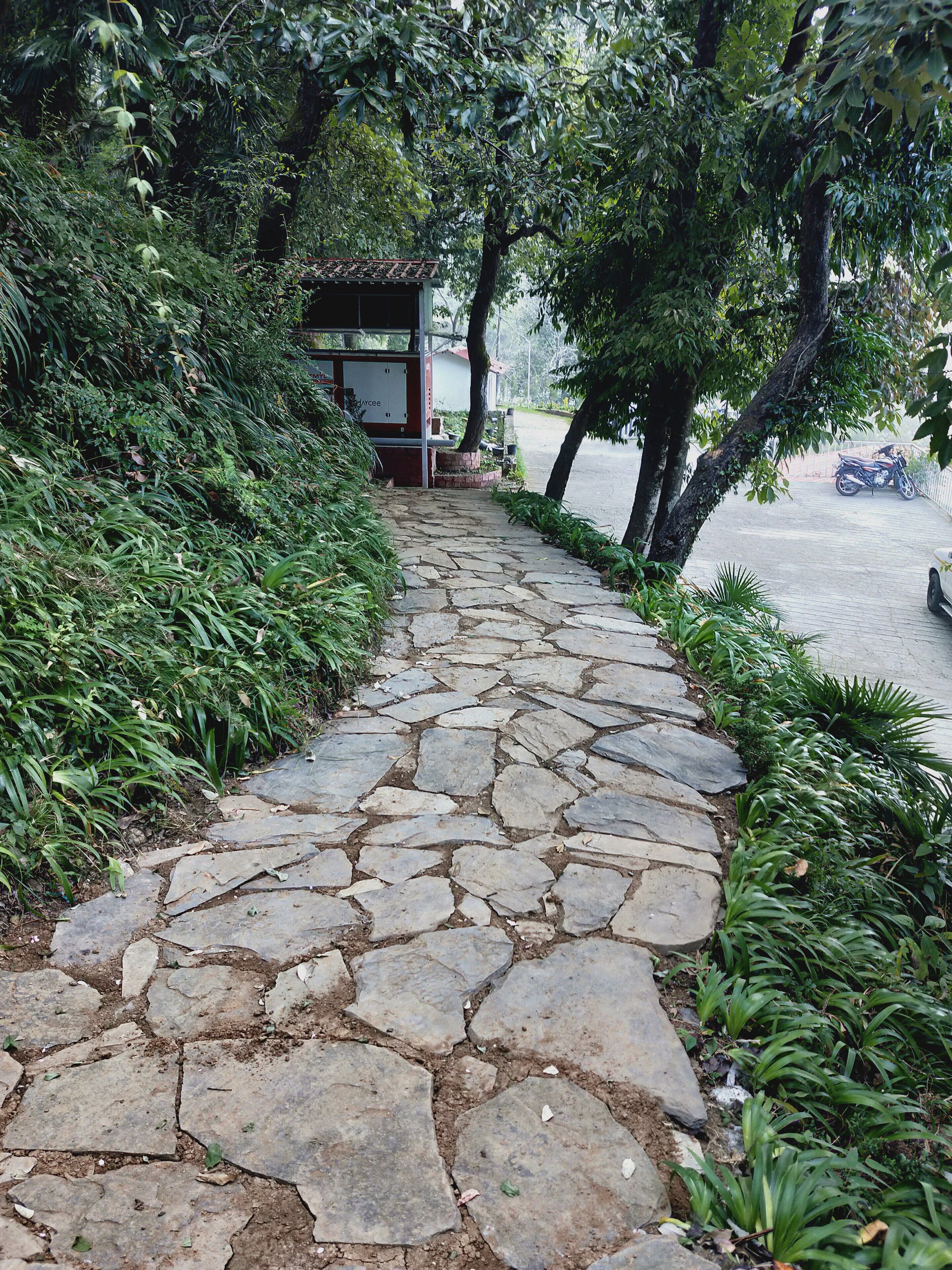 Un sendero de piedra conduce a un edificio pequeño rodeado de abundante vegetación.
