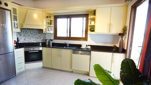 A kitchen with a stove, oven, sink, and dishwasher. There is a window above the sink and a plant in the foreground. - Apartment Emelia (Paphos)