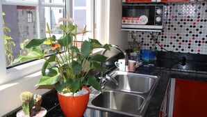 A kitchen with a stainless steel sink, a potted plant, and a microwave on the counter. - An Family Homestay (Hanoi)