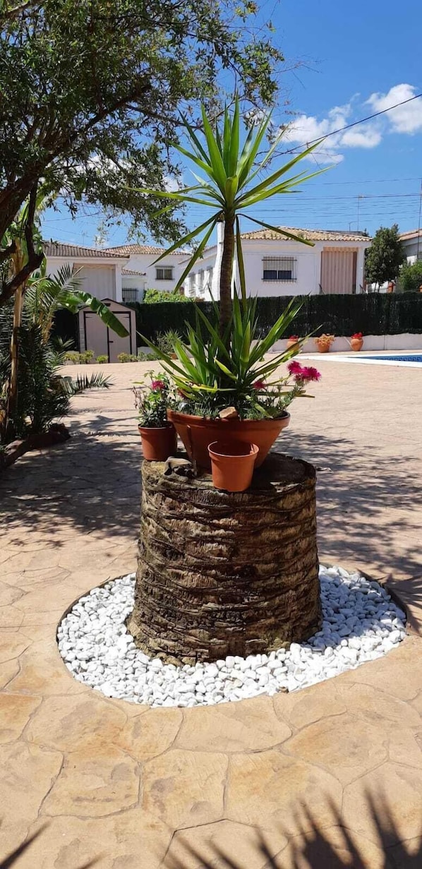 Zona ajardinada con un tocón de madera central rodeado de guijarros blancos, decorado con plantas en macetas y una palmera.