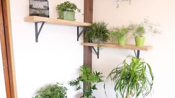 Huis (Private Vacation Home) | Kamervoorziening