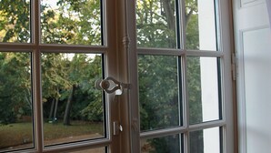 Una ventana con múltiples vidrios, un marco blanco y vistas a árboles y un jardín.