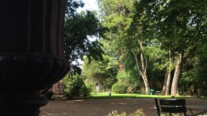 Un parque con un banco y un gran jarro en primer plano.