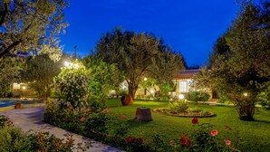 Un jardín bien iluminado con piscina, diversas plantas y un árbol grande.
