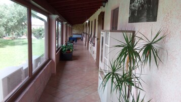 Un pasillo cubierto con ventanas amplias, plantas en macetas y suelo de baldosas.