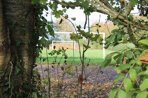 Sports court - Gîte- La Ferme des Chataigniers (Vienne-en-Bessin)