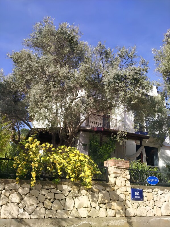 Front of property - Beyaz Ev Pansiyon (Seferihisar)