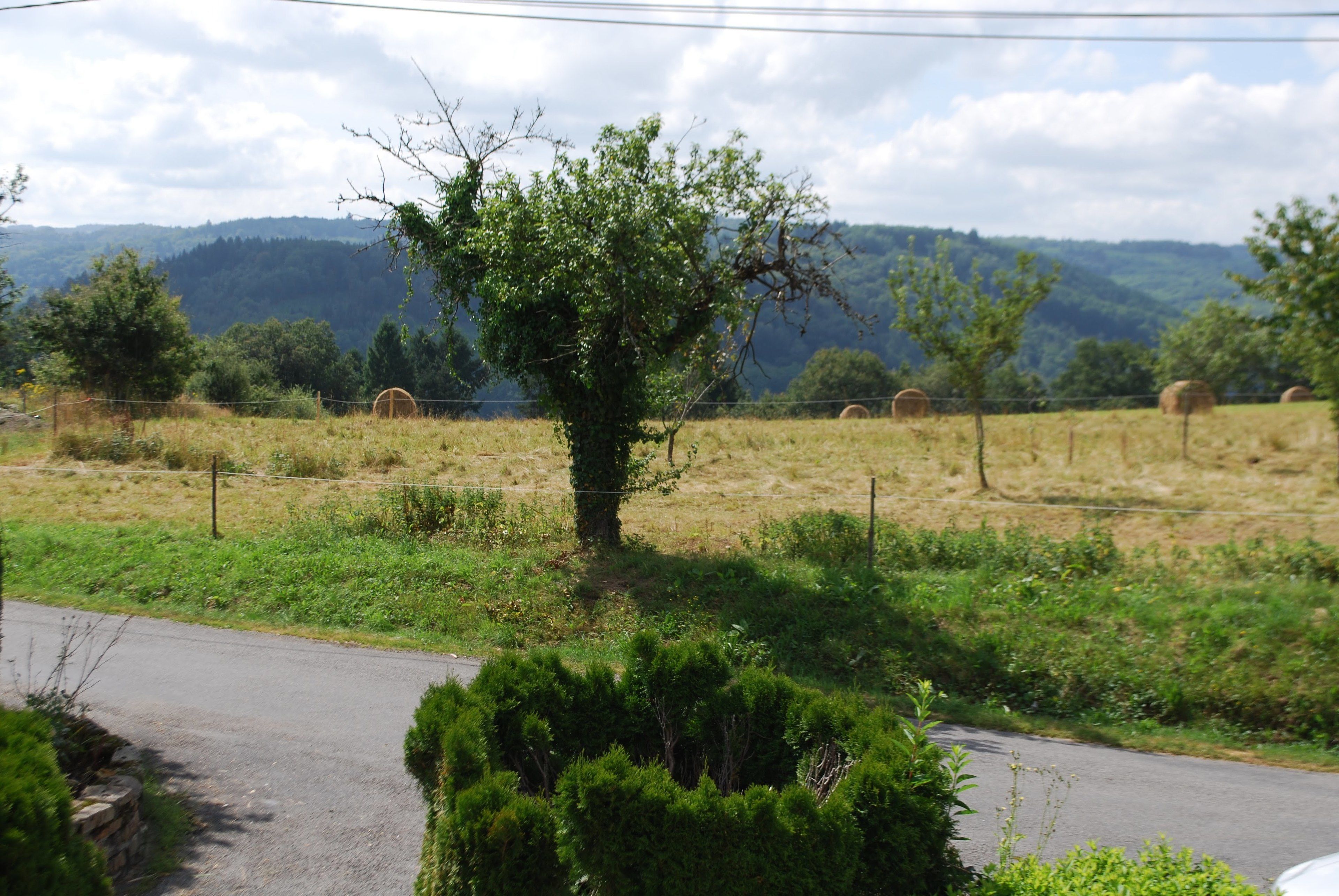 A rural landscape with a road, hay bales, and a tree in the foreground.