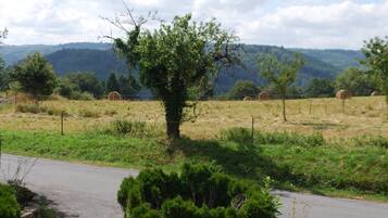 A rural landscape with a road, hay bales, and a tree in the foreground.