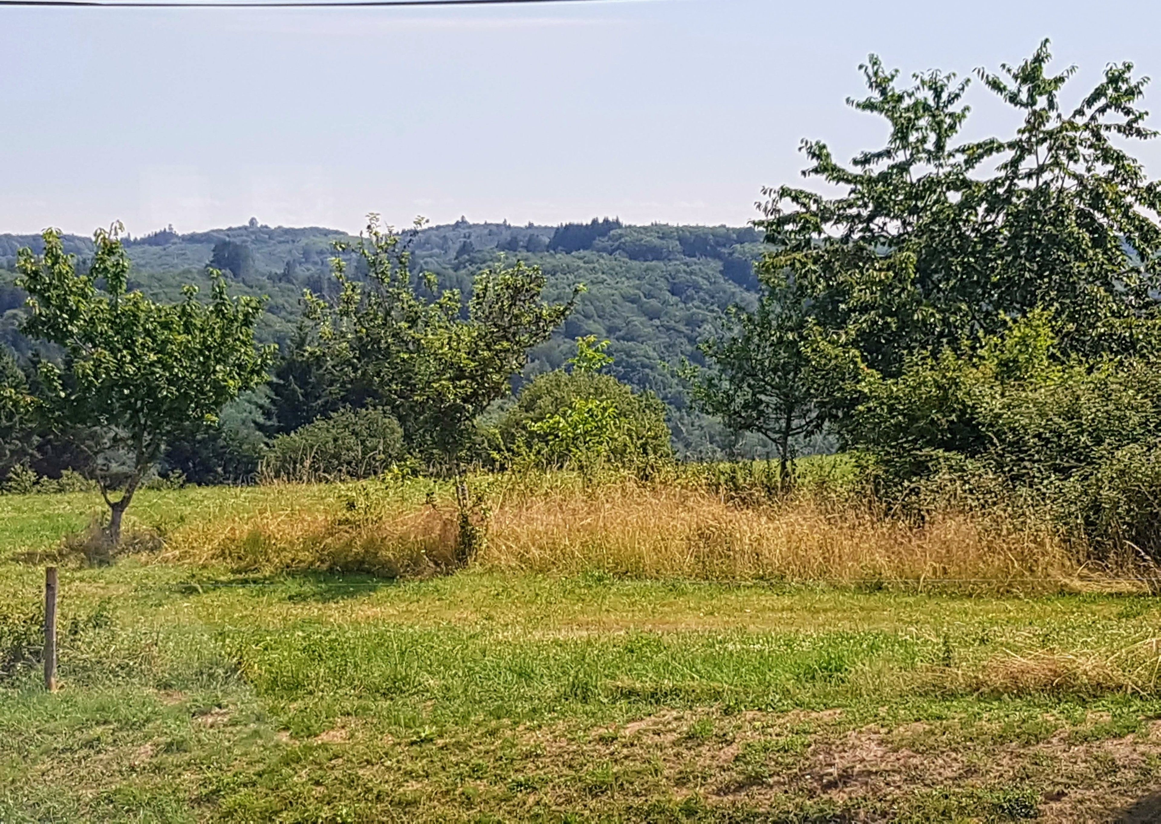 A rural landscape with trees and a hilly background.