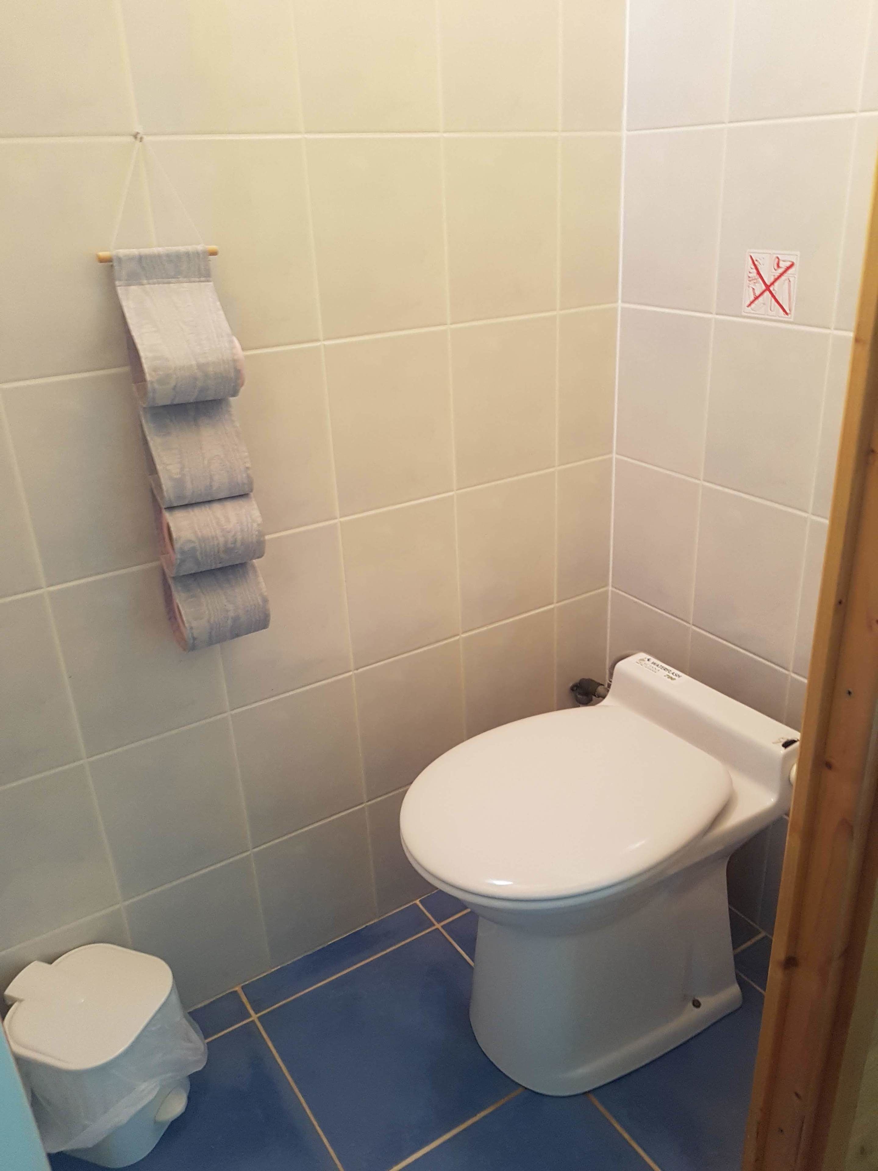 Un baño pequeño con inodoro, piso de azulejos azules y un dispensador de papel higiénico con un rollo.