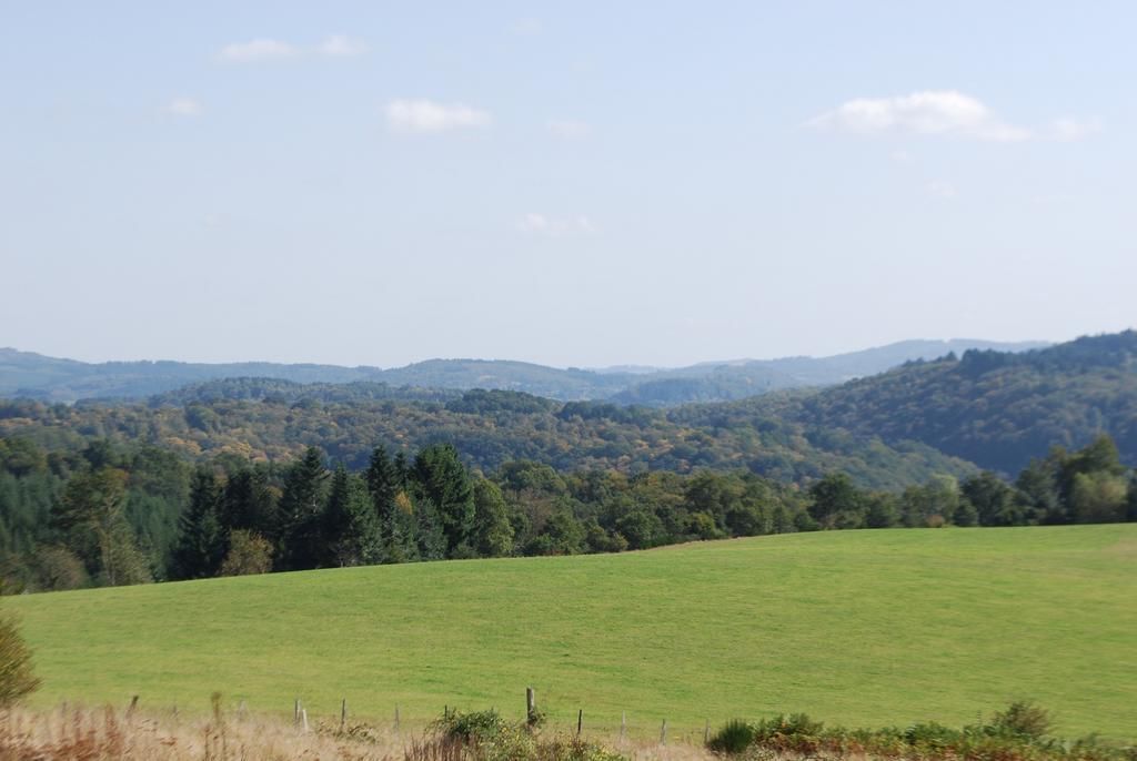 A wide, open field with a fence in the foreground and a forested hill in the background.