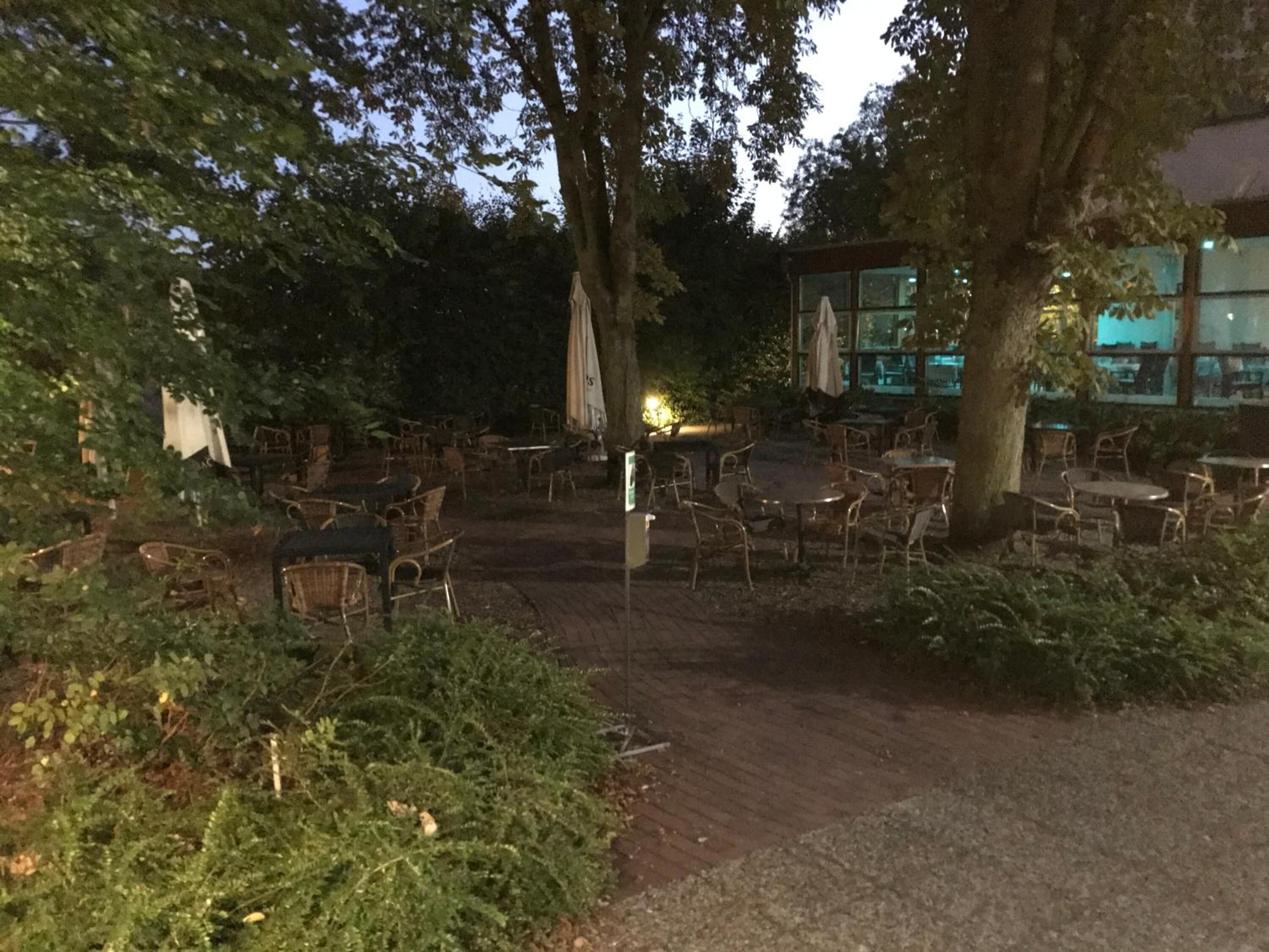 An outdoor seating area with tables and chairs, surrounded by trees and a building with large windows.