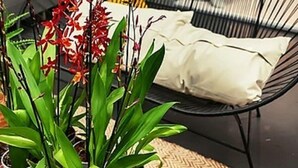 A black wire chair with a white cushion, surrounded by potted plants and a woven rug. - Hotel Pushpak Park (Osmanabad)