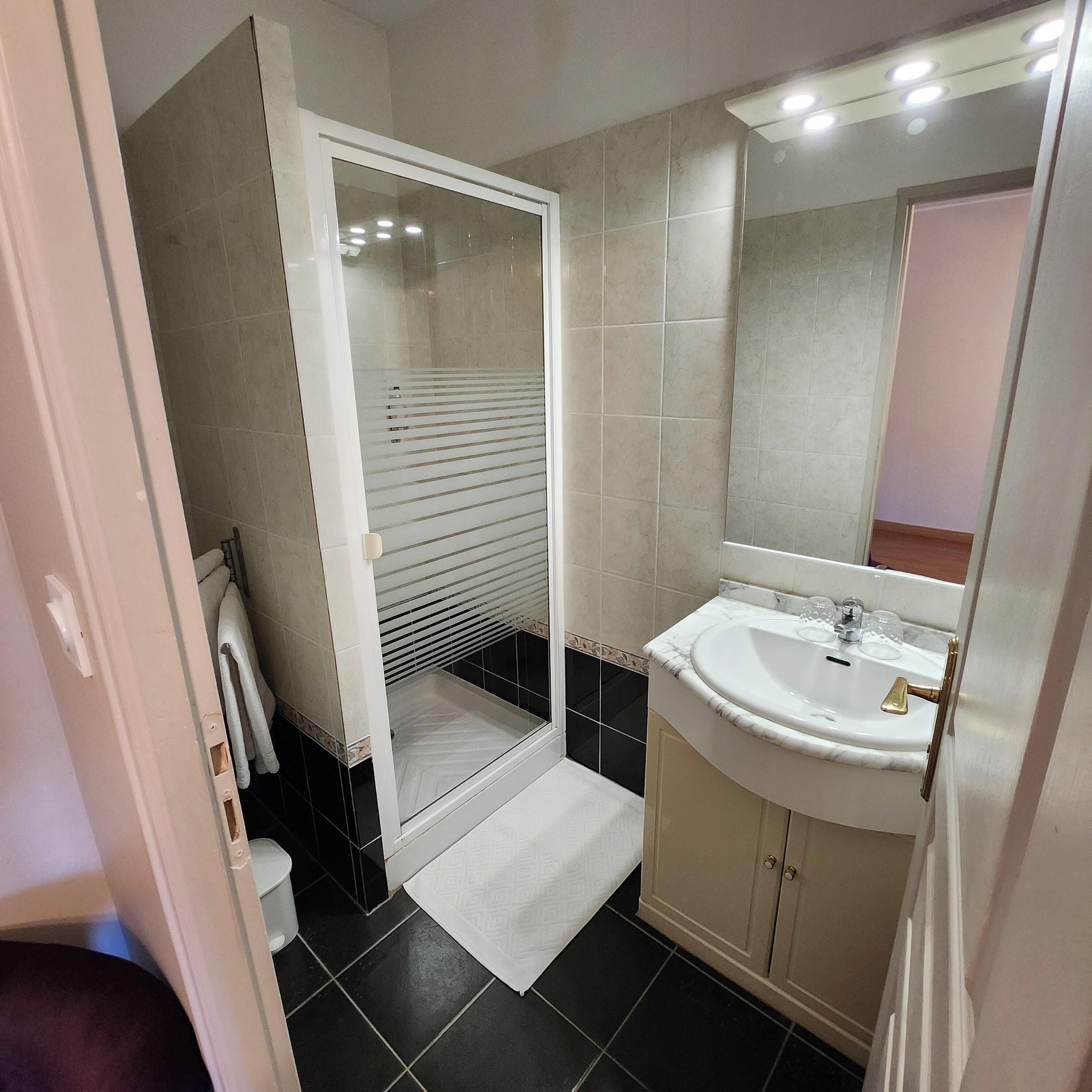 double room, 1 king bed (tendance) | bathroom | shower, free toiletries, hair dryer, towels