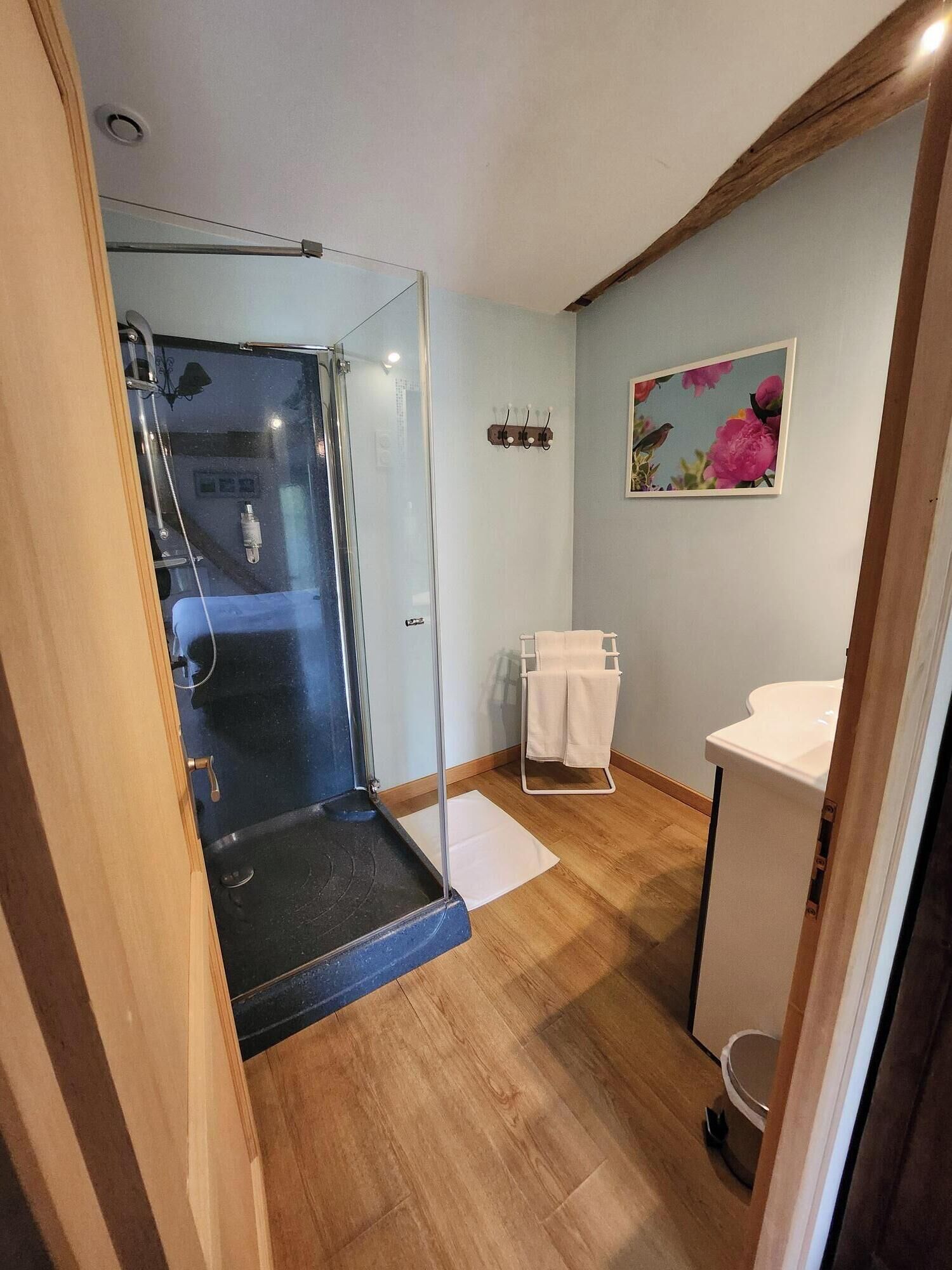 comfort room, 1 king bed (cottage) | bathroom | shower, free toiletries, hair dryer, towels