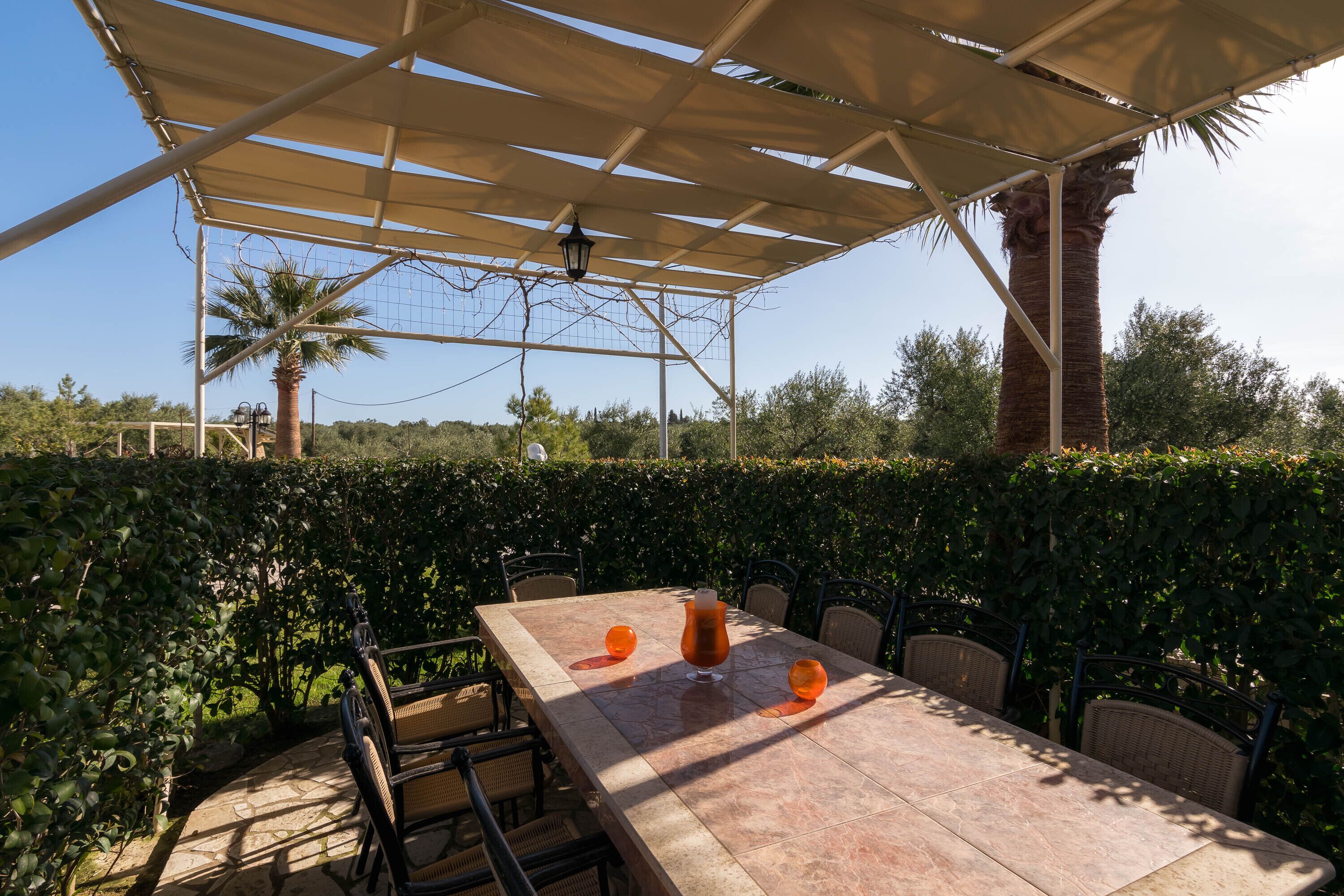 An outdoor dining area with a table and chairs, surrounded by greenery and a palm tree.