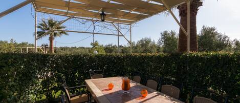 An outdoor dining area with a table and chairs, surrounded by greenery and a palm tree.
