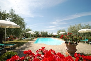 Une piscine entourée de verdure et de plantes en pot, avec des chaises longues et des parasols.