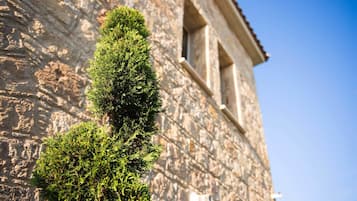 Un bâtiment en pierre avec une fenêtre étroite et un arbuste taillé avec soin devant.