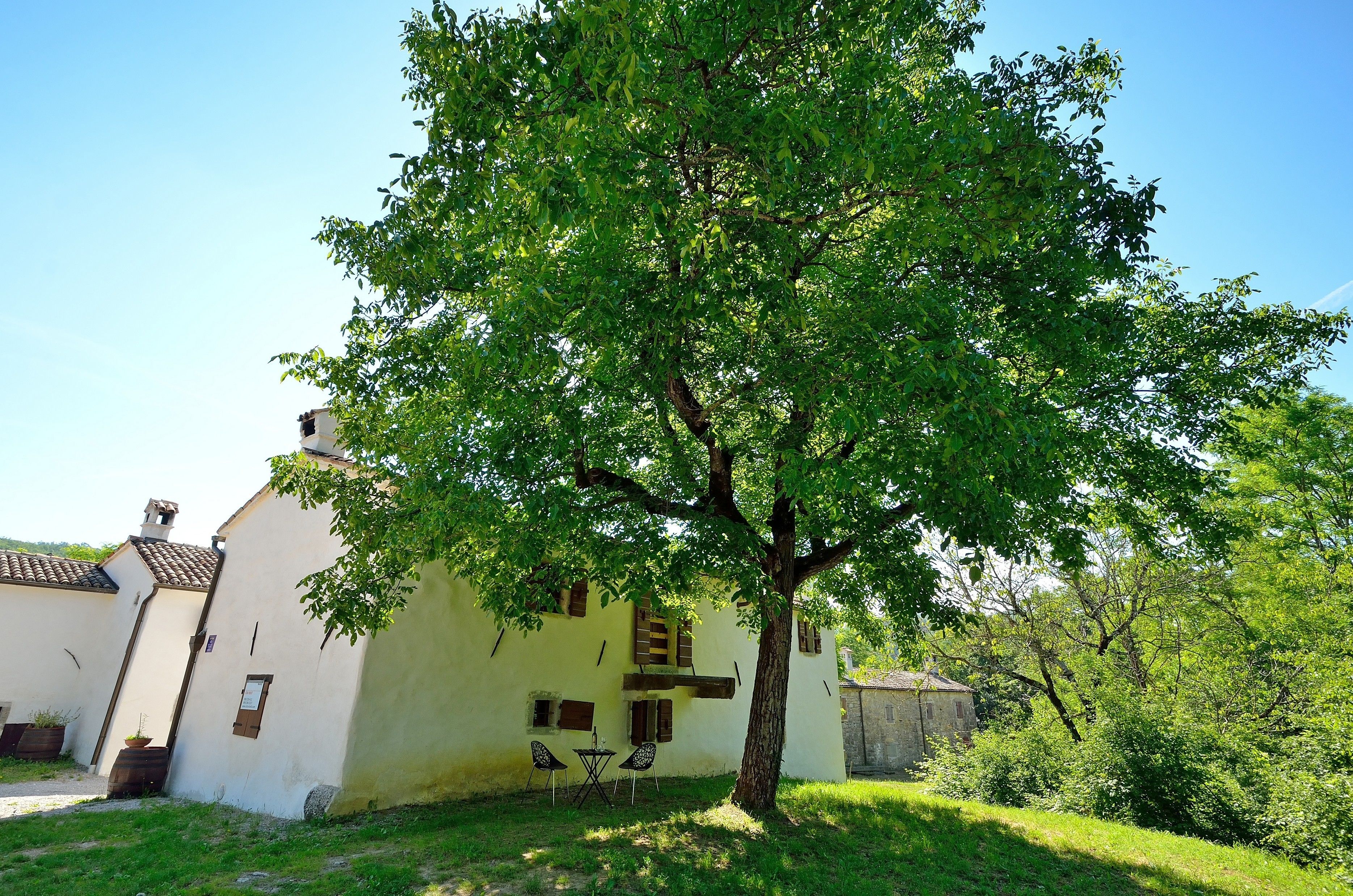 A white building with a tree in front, a small table, and two chairs.