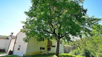 A white building with a tree in front, a small table, and two chairs.