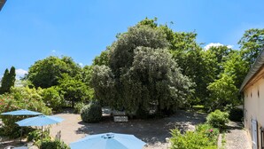 A courtyard with a large tree, outdoor seating, and umbrellas. - Résidence du Chateau de Bégué (Cazaubon)