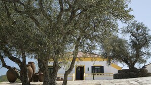 A building with a tiled roof, a stone pathway, and several large pots. - Quinta da Côrte (Tabuaço)