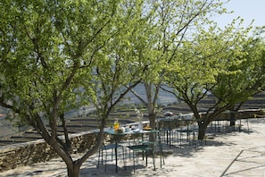An outdoor dining area with tables and chairs under trees, overlooking terraced vineyards.