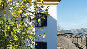 A white building with a red-tiled roof, a tree with yellow fruit, and a view of a mountainous landscape. - Quinta da Côrte (Tabuaço)