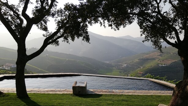 A tranquil outdoor area with a swimming pool, lush green grass, and a view of rolling hills in the distance. - Quinta da Côrte (Tabuaço)