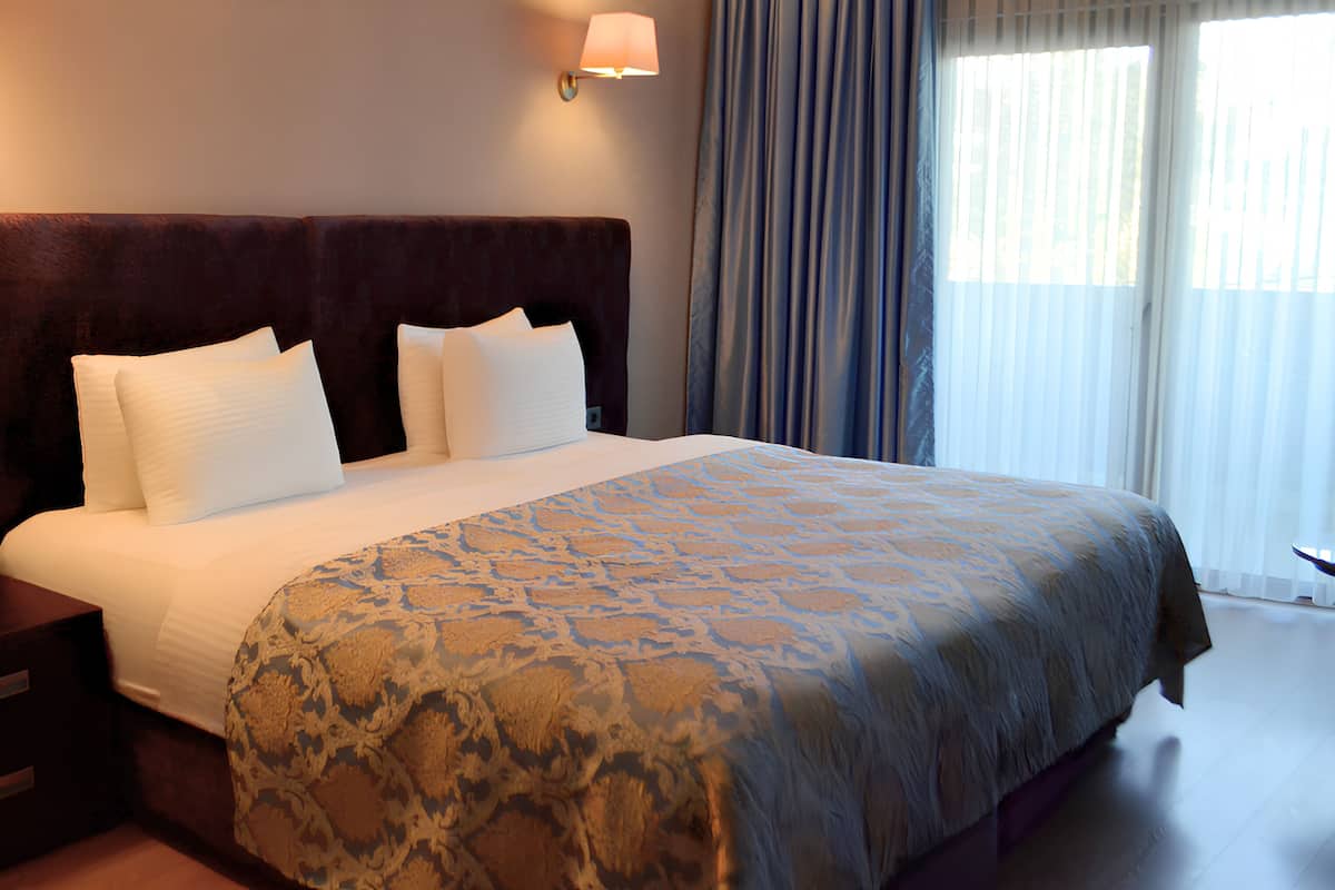 A hotel room with a large bed, a nightstand, a lamp, and a view of the outdoors through the window.
