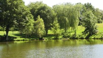 Un lago tranquilo rodeado de abundante vegetación y árboles.