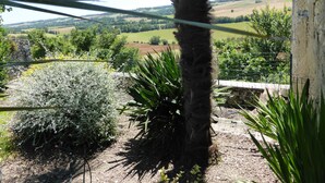Une vue d’un paysage rural avec un mur de pierres et diverses plantes.