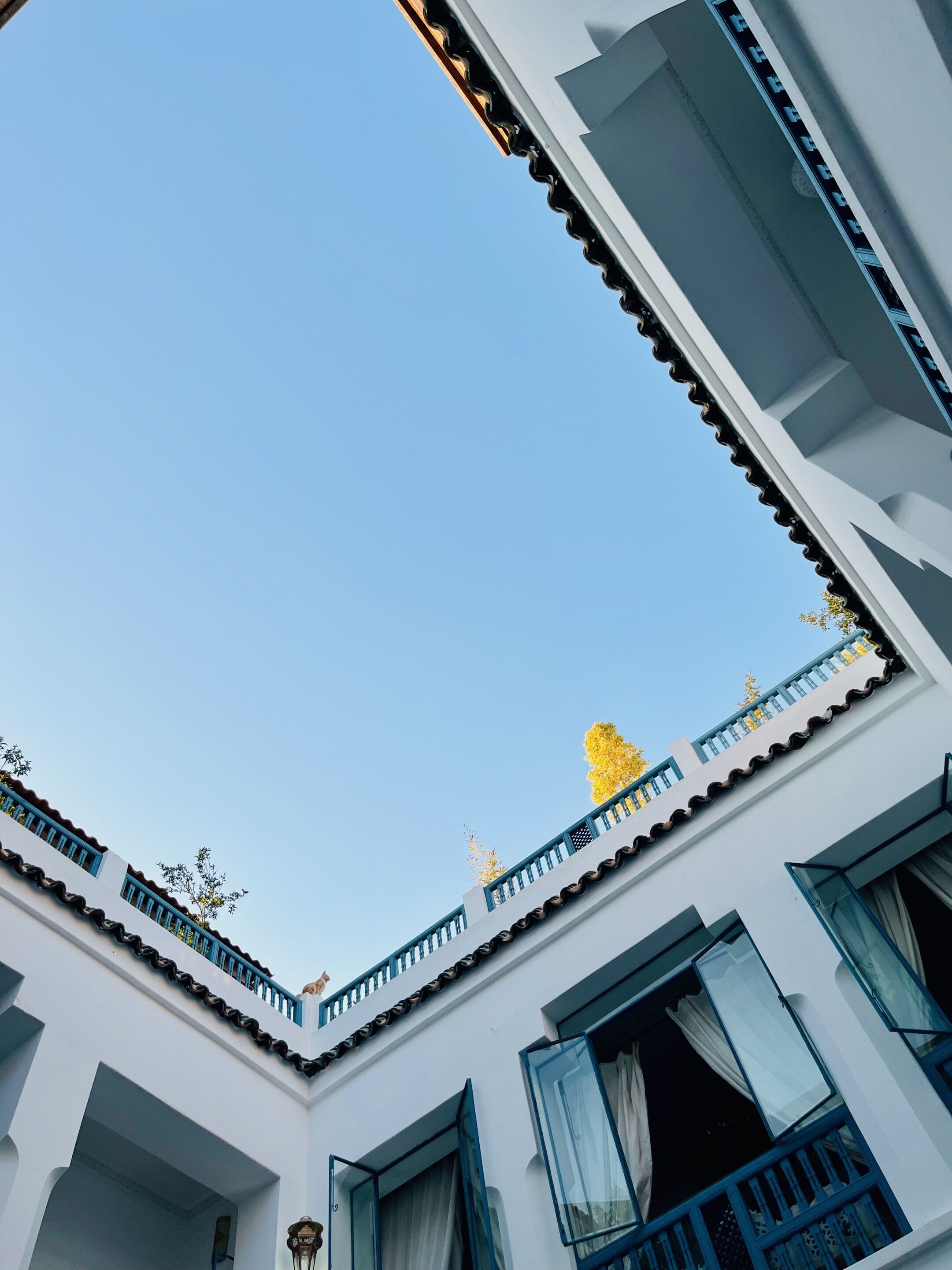 Photo - Riad Khalifa