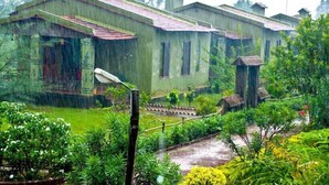 Un edificio tradicional con techo inclinado, rodeado de abundante vegetación y un jardín.