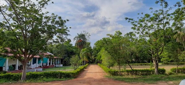 A rural road leading to a house with a red roof, surrounded by lush greenery and trees. - KP Cottages (Kanker)
