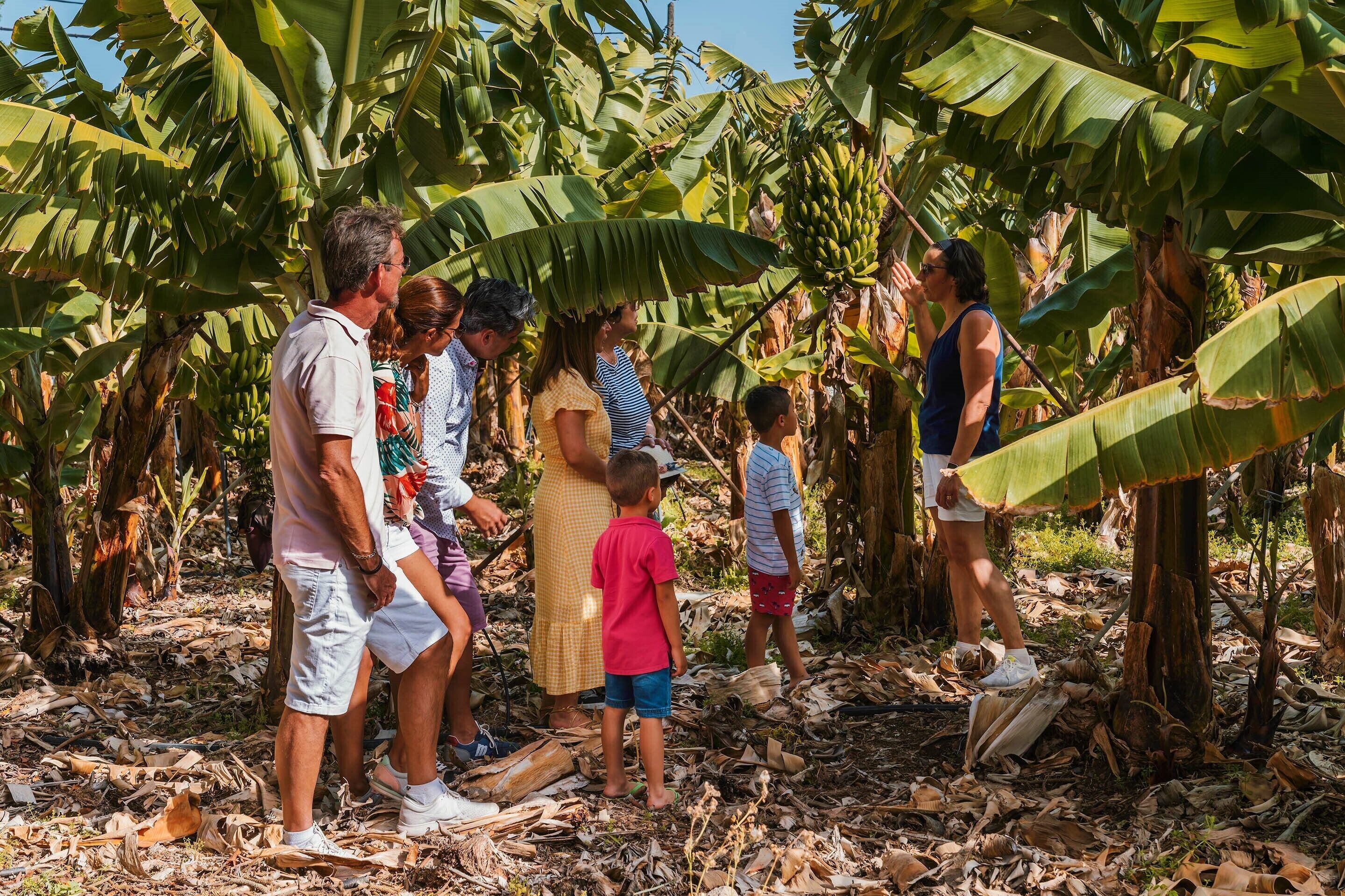 Foto - Hotel Jardín Tecina