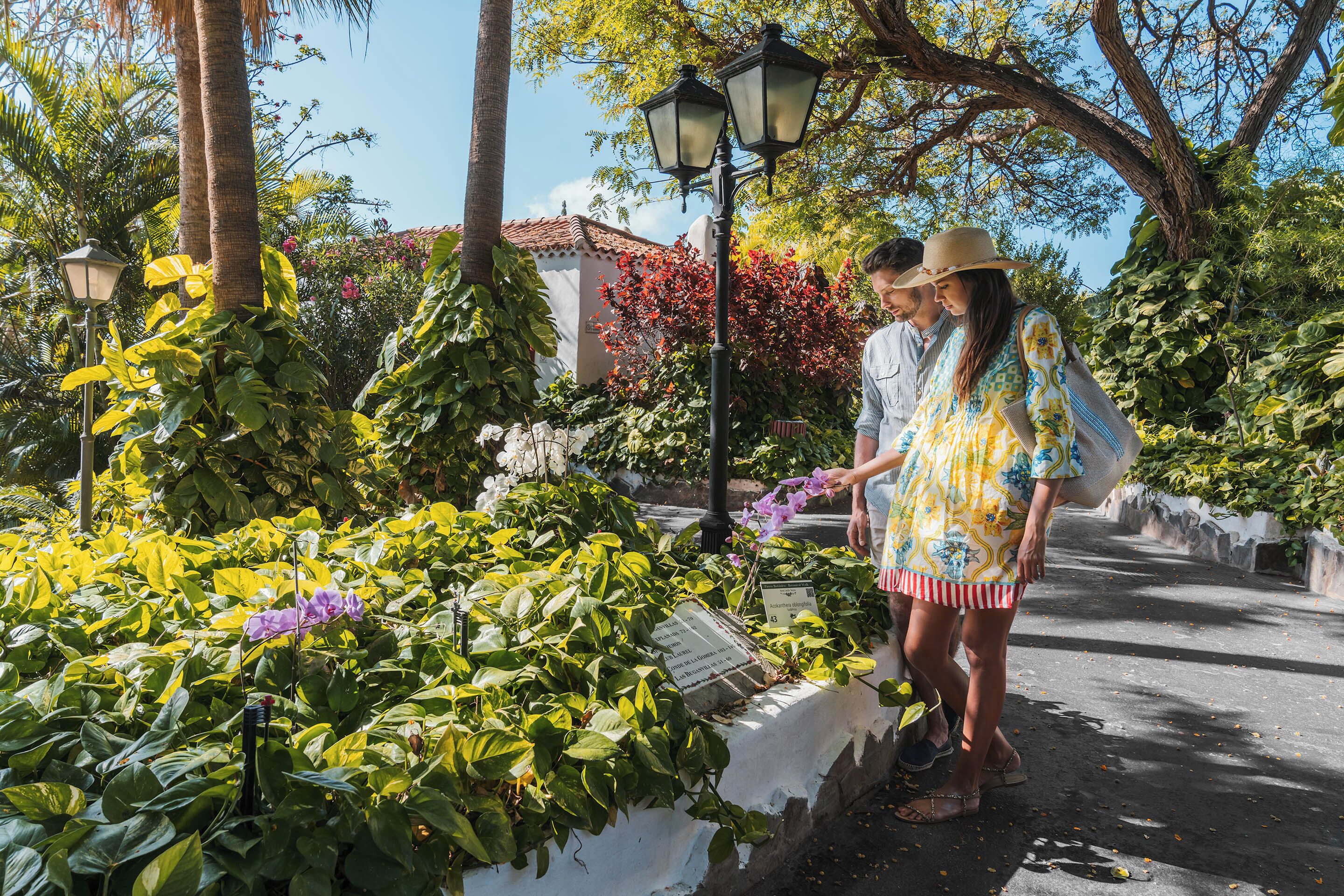 Foto - Hotel Jardín Tecina