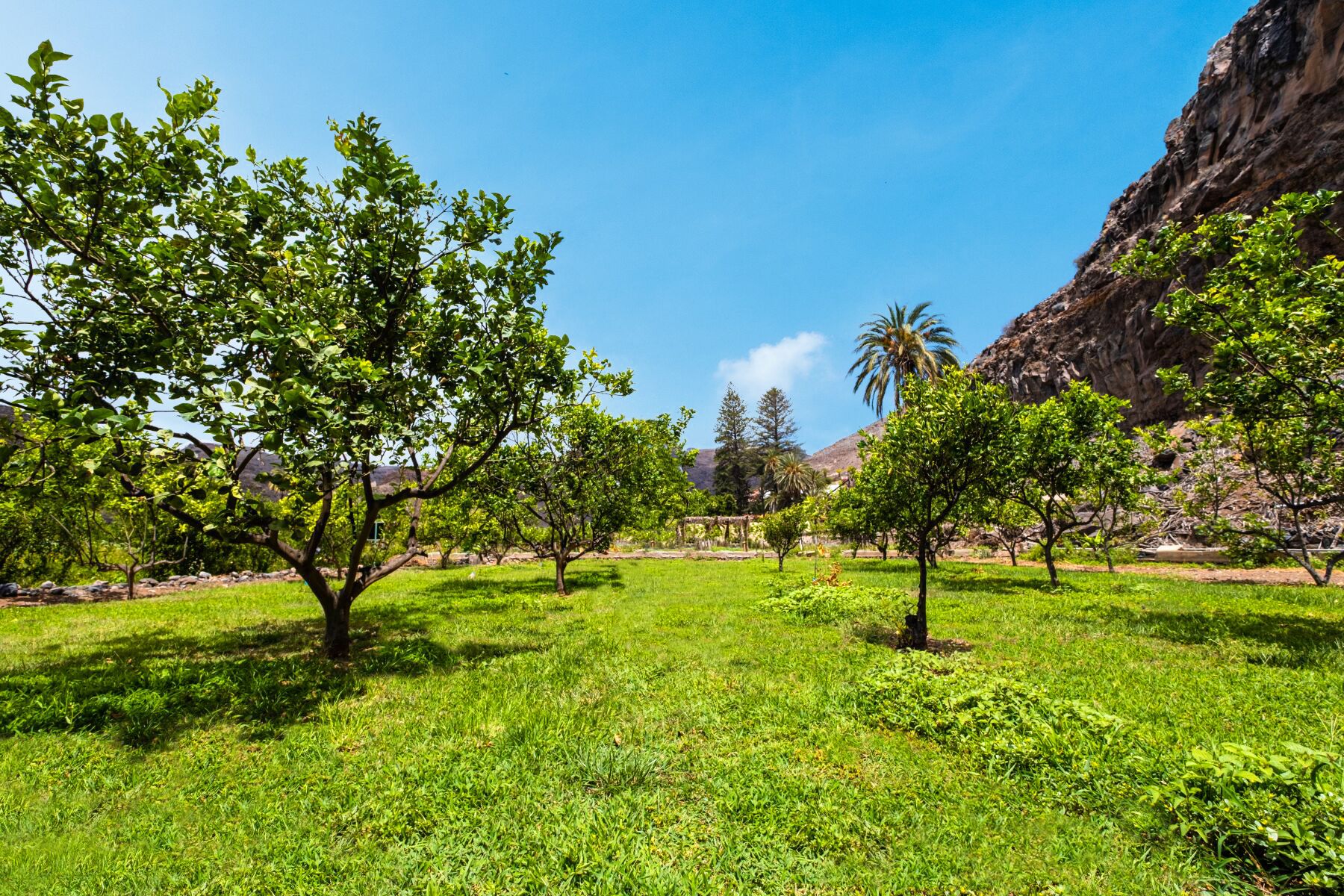 Foto - Hotel Jardín Tecina