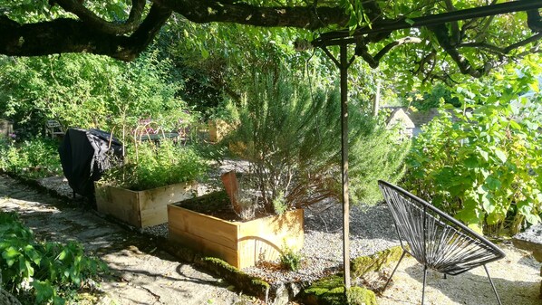 Tuin