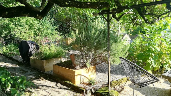 Tuin
