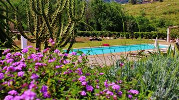 ์์ฆ๋ณ๋ก ์ด์๋๋ ์ผ์ธ ์์์ฅ